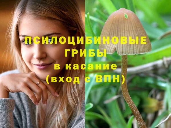 первитин Белокуриха