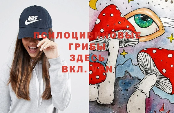 первитин Белокуриха
